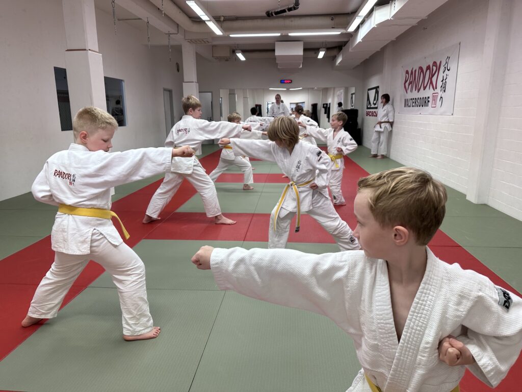 Randori Pro - Kindertraining - 4