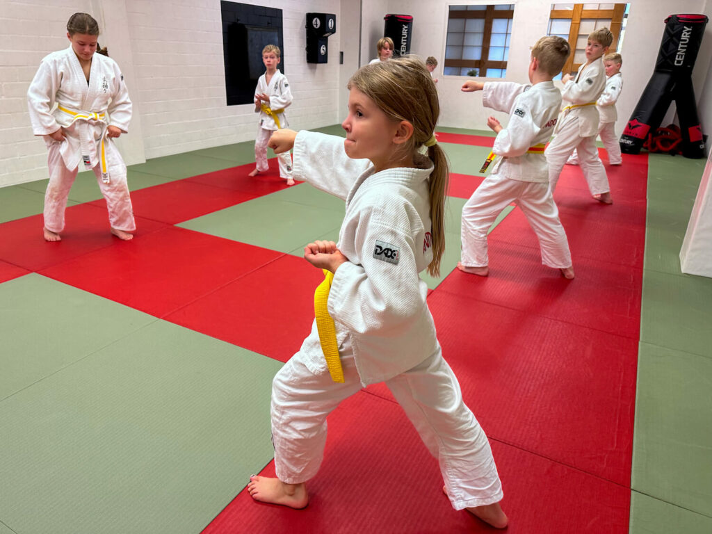 Randori Pro - Kindertraining - 5
