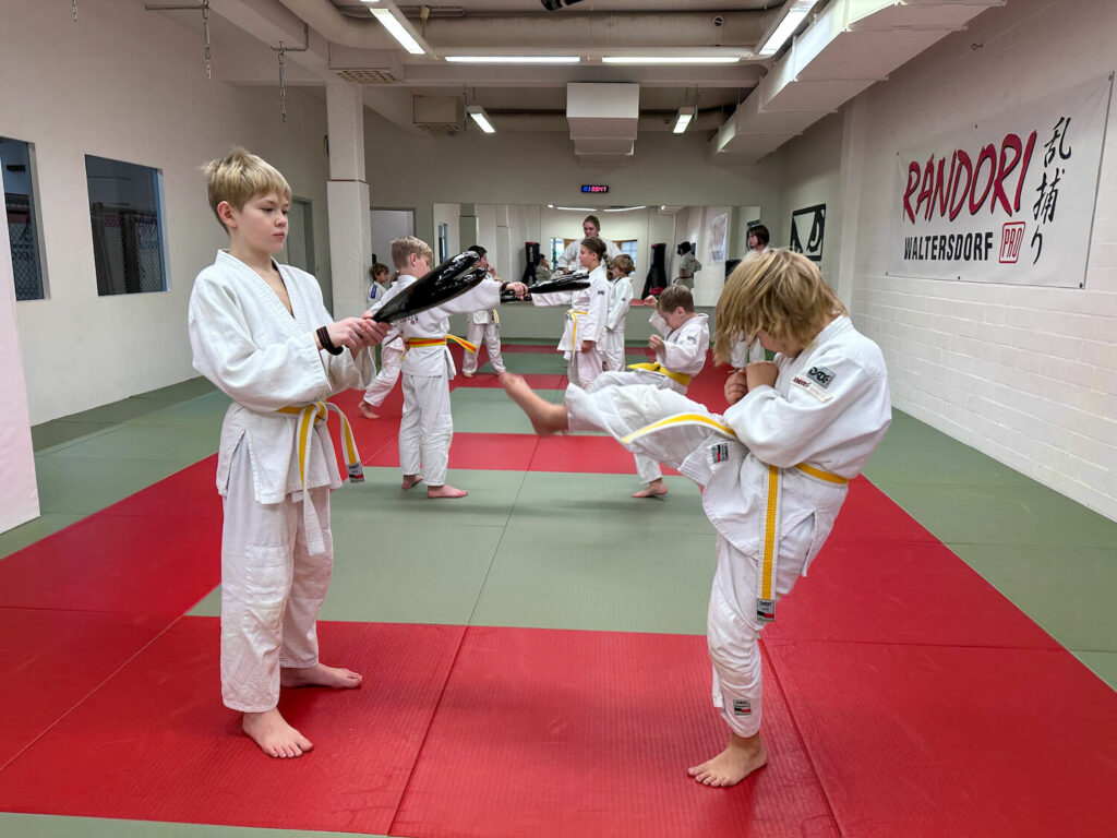 Randori Pro - Kindertraining - 6